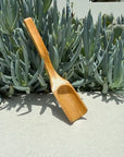 Handmade bamboo matcha spoon on white surface with green succulent background