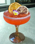 Red cocktail in a coupe glass garnished with dehydrated citrus slices and edible flower